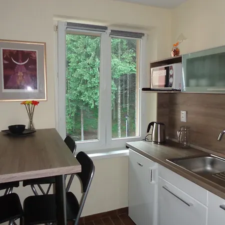 Apartment Jasna 96 Ii